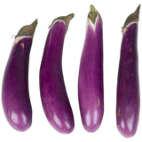 Organic Eggplant(Brinjal)